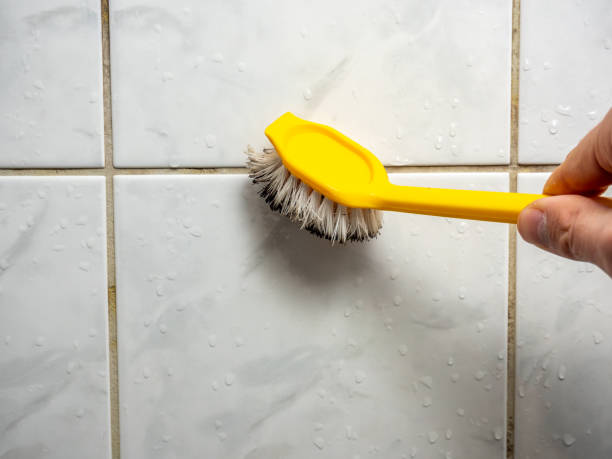 Best Localized Mold Remediation (e.g., coastal areas, humid climates) in Huntington Woods, MI