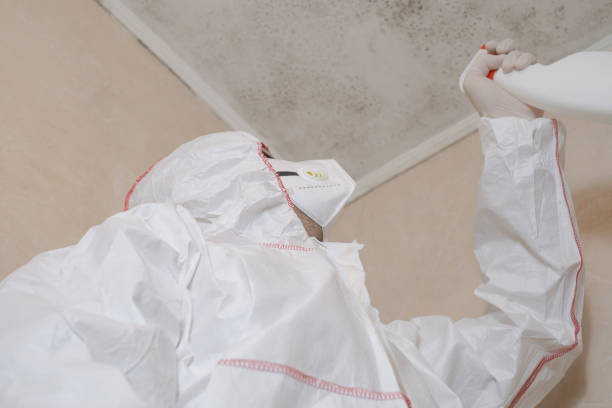 Best Post-Remediation Services in Huntington Woods, MI